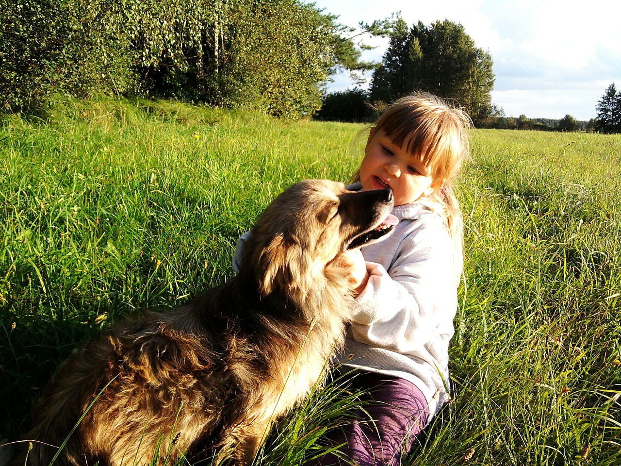 Una niña acariciando a un perro