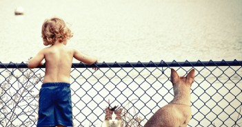 Adopción: ¿Perro o gato? bebe-gato-perro