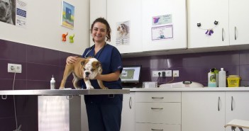Sara Rojo, nueva colaboradora en Mascotafriends.com Sara Rojo en su clínica