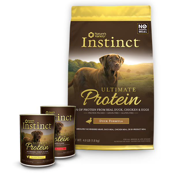 Los 10 mejores piensos premium para