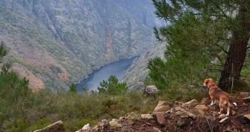 Senderismo perruno por Galicia
